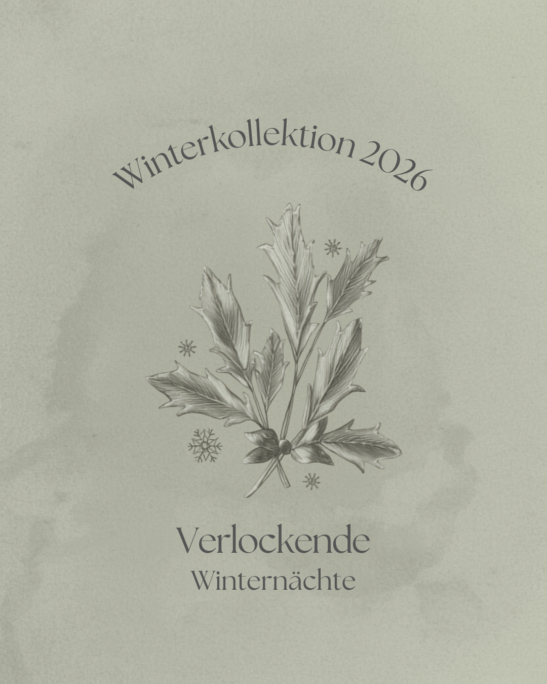 Handgezeichnete Tanne im Schnee, Schriftzug Winter Collection, winterliches Design